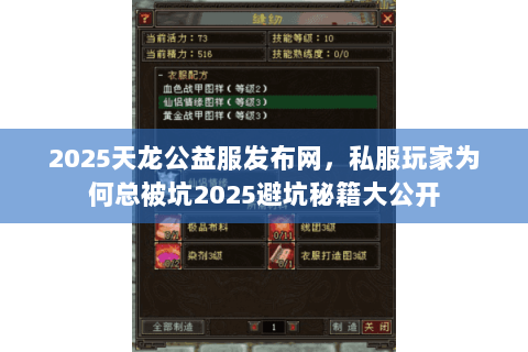 2025天龙公益服发布网,私服玩家为何总被坑2025避坑秘籍大公开 2025天龙公益服发布网,私服玩家为何总被坑2025避坑秘籍大公开