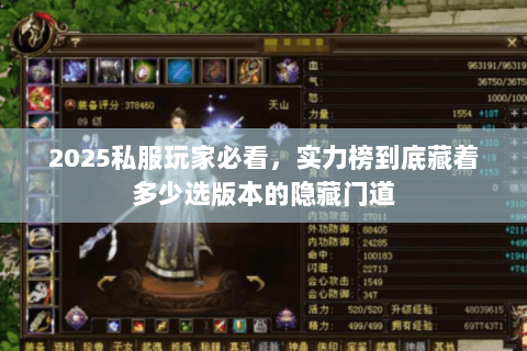 2025私服玩家必看,实力榜到底藏着多少选版本的隐藏门道 2025私服玩家必看,实力榜到底藏着多少选版本的隐藏门道