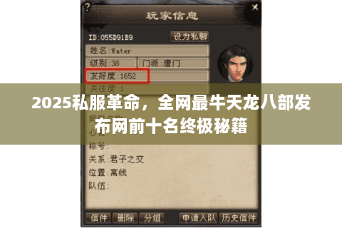 2025私服革命,全网最牛天龙八部发布网前十名终极秘籍 2025私服革命,全网最牛天龙八部发布网前十名终极秘籍