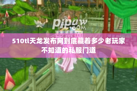 510tl天龙发布网到底藏着多少老玩家不知道的私服门道 510tl天龙发布网到底藏着多少老玩家不知道的私服门道