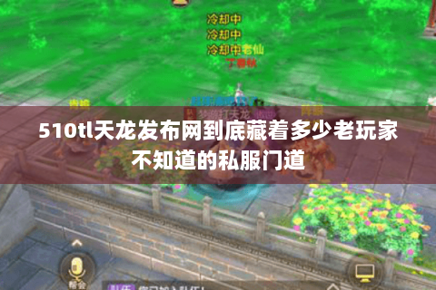 510tl天龙发布网到底藏着多少老玩家不知道的私服门道 510tl天龙发布网到底藏着多少老玩家不知道的私服门道