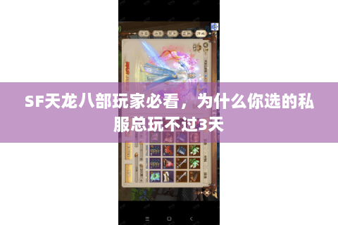SF天龙八部玩家必看,为什么你选的私服总玩不过3天 SF天龙八部玩家必看,为什么你选的私服总玩不过3天