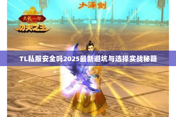TL私服安全吗2025最新避坑与选择实战秘籍