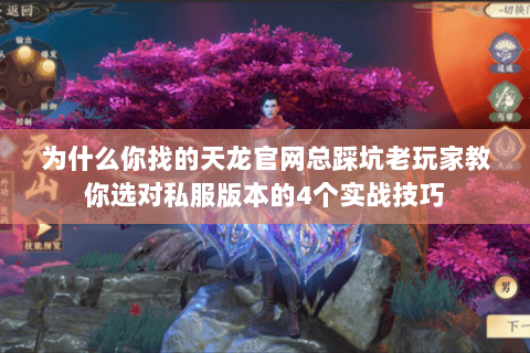 为什么你找的天龙官网总踩坑老玩家教你选对私服版本的4个实战技巧