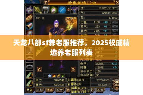 天龙八部sf养老服推荐,2025权威精选养老服列表 天龙八部sf养老服推荐,2025权威精选养老服列表