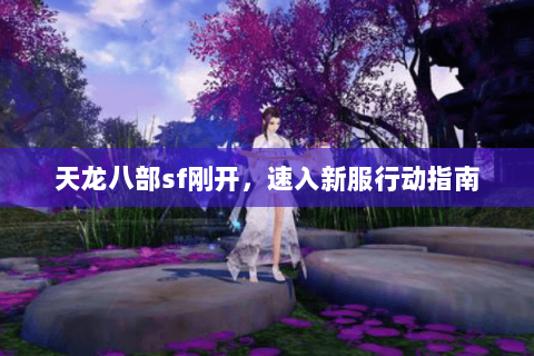 天龙八部sf刚开,速入新服行动指南 天龙八部sf刚开,速入新服行动指南