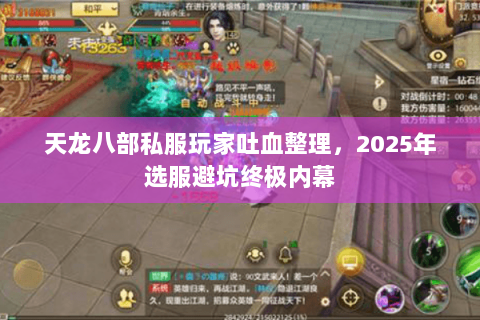 天龙八部私服玩家吐血整理,2025年选服避坑终极内幕 天龙八部私服玩家吐血整理,2025年选服避坑终极内幕