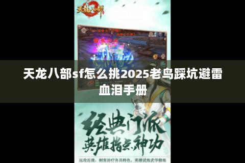 天龙八部sf怎么挑2025老鸟踩坑避雷血泪手册 天龙八部sf怎么挑2025老鸟踩坑避雷血泪手册