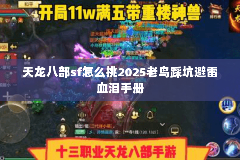 天龙八部sf怎么挑2025老鸟踩坑避雷血泪手册 天龙八部sf怎么挑2025老鸟踩坑避雷血泪手册
