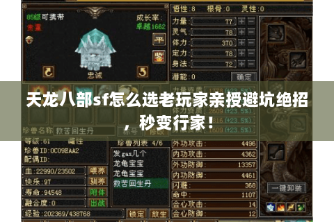 天龙八部sf怎么选老玩家亲授避坑绝招,秒变行家! 天龙八部sf怎么选老玩家亲授避坑绝招,秒变行家!