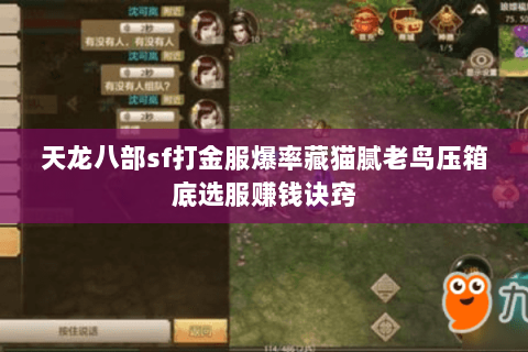 天龙八部sf打金服爆率藏猫腻老鸟压箱底选服赚钱诀窍 天龙八部sf打金服爆率藏猫腻老鸟压箱底选服赚钱诀窍