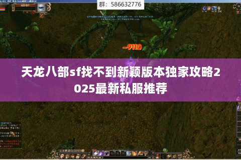 天龙八部sf找不到新颖版本独家攻略2025最新私服推荐 天龙八部sf找不到新颖版本独家攻略2025最新私服推荐