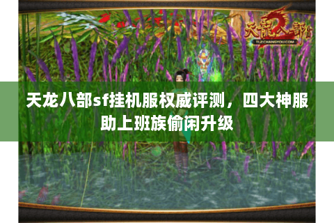 天龙八部sf挂机服权威评测,四大神服助上班族偷闲升级 天龙八部sf挂机服权威评测,四大神服助上班族偷闲升级