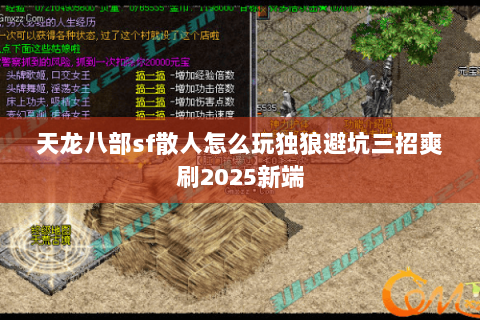 天龙八部sf散人怎么玩独狼避坑三招爽刷2025新端 天龙八部sf散人怎么玩独狼避坑三招爽刷2025新端