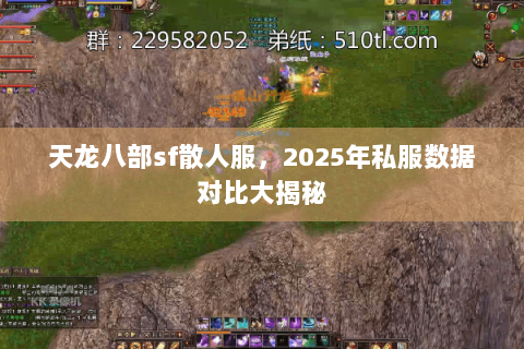 天龙八部sf散人服,2025年私服数据对比大揭秘 天龙八部sf散人服,2025年私服数据对比大揭秘