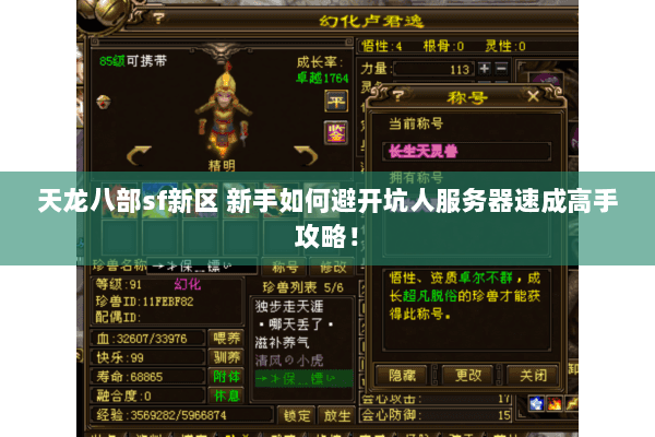 天龙八部sf新区 新手如何避开坑人服务器速成高手攻略! 天龙八部sf新区 新手如何避开坑人服务器速成高手攻略!