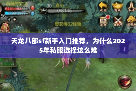 天龙八部sf新手入门推荐,为什么2025年私服选择这么难 天龙八部sf新手入门推荐,为什么2025年私服选择这么难