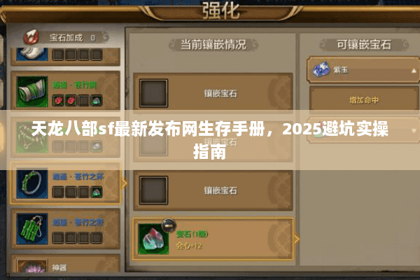 天龙八部sf最新发布网生存手册,2025避坑实操指南 天龙八部sf最新发布网生存手册,2025避坑实操指南