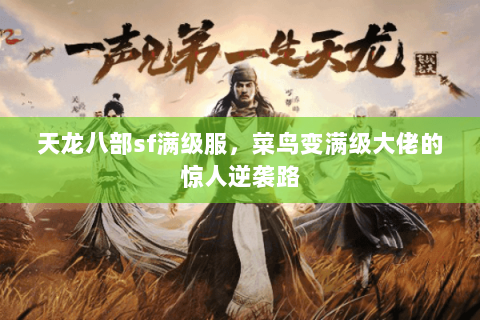天龙八部sf满级服,菜鸟变满级大佬的惊人逆袭路 天龙八部sf满级服,菜鸟变满级大佬的惊人逆袭路