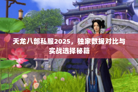 天龙八部私服2025，独家数据对比与实战选择秘籍