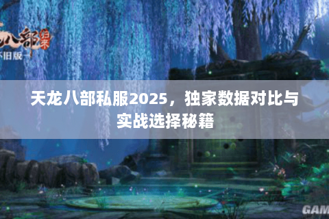 天龙八部私服2025，独家数据对比与实战选择秘籍