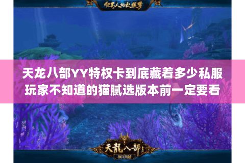 天龙八部YY特权卡到底藏着多少私服玩家不知道的猫腻选版本前一定要看 天龙八部YY特权卡到底藏着多少私服玩家不知道的猫腻选版本前一定要看