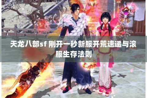 天龙八部sf 刚开一秒新服开荒速递与滚服生存法则 天龙八部sf 刚开一秒新服开荒速递与滚服生存法则
