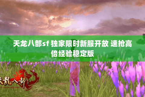 天龙八部sf 独家限时新服开放 速抢高倍经验稳定版 天龙八部sf 独家限时新服开放 速抢高倍经验稳定版