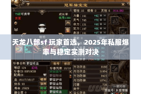 天龙八部sf 玩家首选,2025年私服爆率与稳定实测对决 天龙八部sf 玩家首选,2025年私服爆率与稳定实测对决