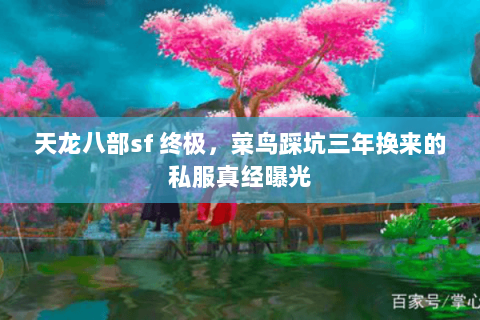 天龙八部sf 终极,菜鸟踩坑三年换来的私服真经曝光 天龙八部sf 终极,菜鸟踩坑三年换来的私服真经曝光