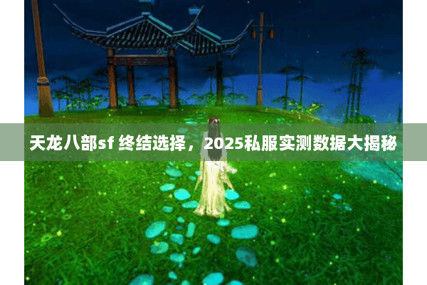 天龙八部sf 终结选择,2025私服实测数据大揭秘 天龙八部sf 终结选择,2025私服实测数据大揭秘