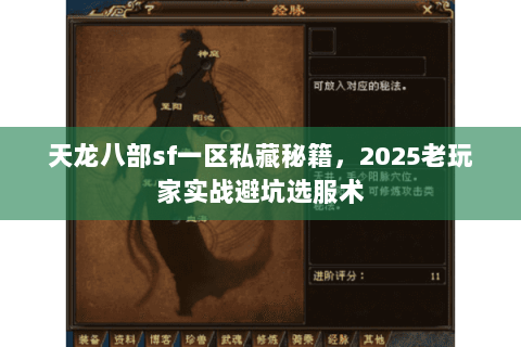 天龙八部sf一区私藏秘籍，2025老玩家实战避坑选服术