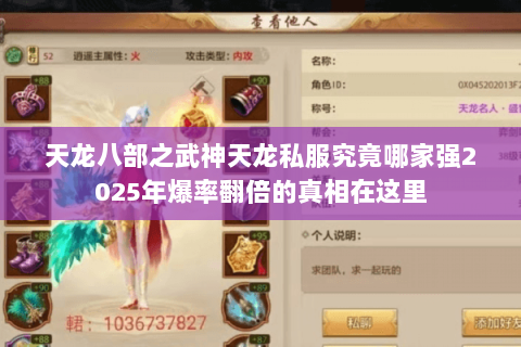 天龙八部之武神天龙私服究竟哪家强2025年爆率翻倍的真相在这里