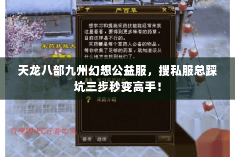 天龙八部九州幻想公益服,搜私服总踩坑三步秒变高手! 天龙八部九州幻想公益服,搜私服总踩坑三步秒变高手!