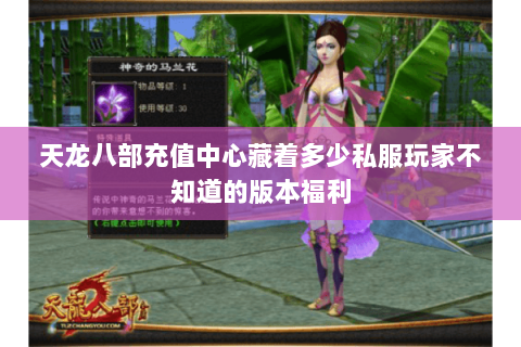 天龙八部充值中心藏着多少私服玩家不知道的版本福利 天龙八部充值中心藏着多少私服玩家不知道的版本福利