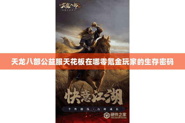 天龙八部公益服天花板在哪零氪金玩家的生存密码 天龙八部公益服天花板在哪零氪金玩家的生存密码