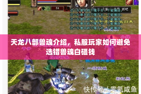 天龙八部兽魂介绍,私服玩家如何避免选错兽魂白砸钱 天龙八部兽魂介绍,私服玩家如何避免选错兽魂白砸钱