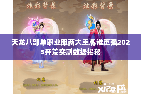 天龙八部单职业服两大王牌谁更强2025开荒实测数据揭秘 天龙八部单职业服两大王牌谁更强2025开荒实测数据揭秘