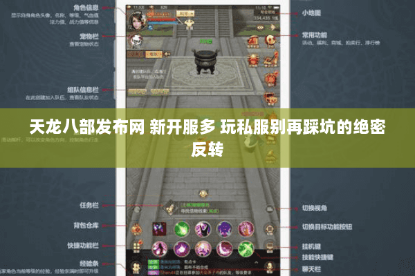 天龙八部发布网 新开服多 玩私服别再踩坑的绝密反转