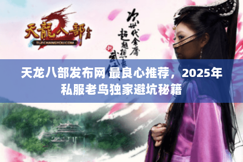 天龙八部发布网 最良心推荐,2025年私服老鸟独家避坑秘籍 天龙八部发布网 最良心推荐,2025年私服老鸟独家避坑秘籍