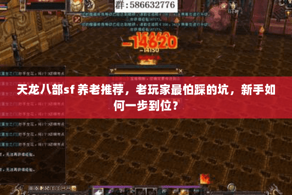 天龙八部sf 养老推荐,老玩家最怕踩的坑,新手如何一步到位? 天龙八部sf 养老推荐,老玩家最怕踩的坑,新手如何一步到位?