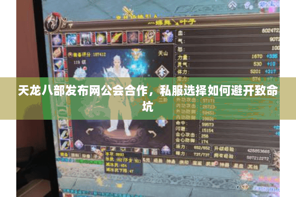 天龙八部发布网公会合作，私服选择如何避开致命坑