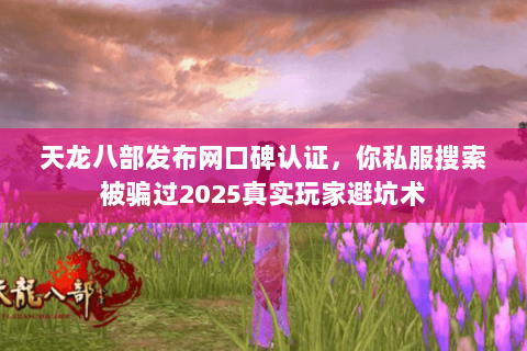 天龙八部发布网口碑认证,你私服搜索被骗过2025真实玩家避坑术 天龙八部发布网口碑认证,你私服搜索被骗过2025真实玩家避坑术
