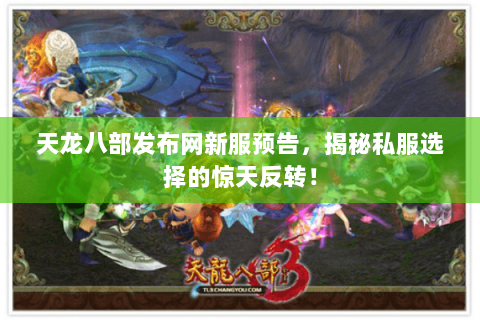 天龙八部发布网新服预告，揭秘私服选择的惊天反转！