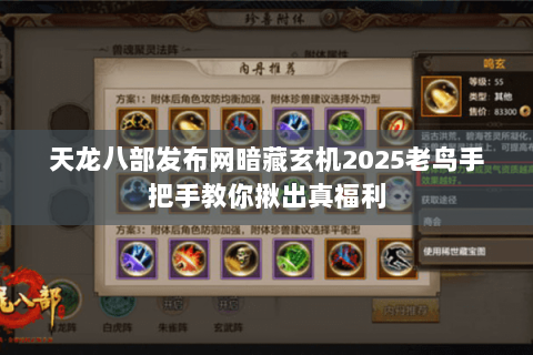 天龙八部发布网暗藏玄机2025老鸟手把手教你揪出真福利 天龙八部发布网暗藏玄机2025老鸟手把手教你揪出真福利