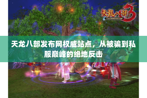 天龙八部发布网权威站点,从被骗到私服巅峰的绝地反击 天龙八部发布网权威站点,从被骗到私服巅峰的绝地反击