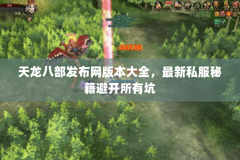 天龙八部发布网版本大全,最新私服秘籍避开所有坑 天龙八部发布网版本大全,最新私服秘籍避开所有坑
