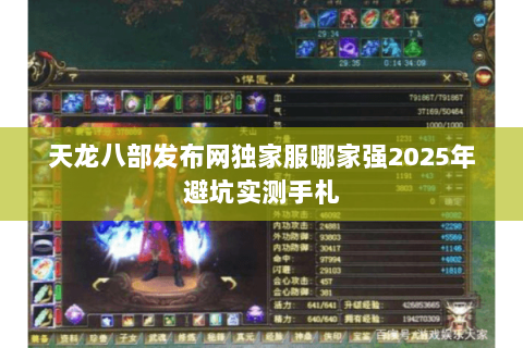 天龙八部发布网独家服哪家强2025年避坑实测手札