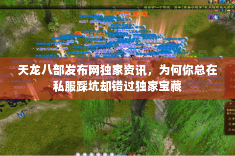 天龙八部发布网独家资讯,为何你总在私服踩坑却错过独家宝藏 天龙八部发布网独家资讯,为何你总在私服踩坑却错过独家宝藏