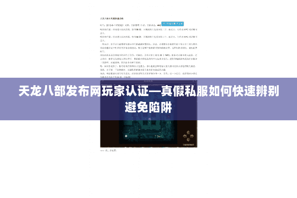 天龙八部发布网玩家认证—真假私服如何快速辨别避免陷阱